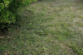 Покос травы бензотриммером 