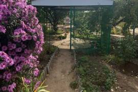 Дома, дачи, коттеджи, Продам