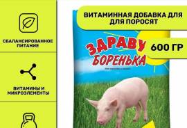 БОРЕНЬКА (премикс для свиней) 