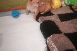 Продам Продам